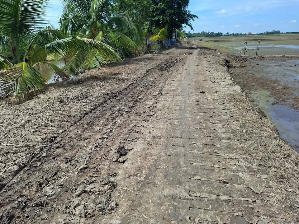 Đất lúa 7500m² xã Tân Hội Trung, Đồng Tháp - Giá chỉ 1.275 tỷ, cơ hội đầu tư tốt!