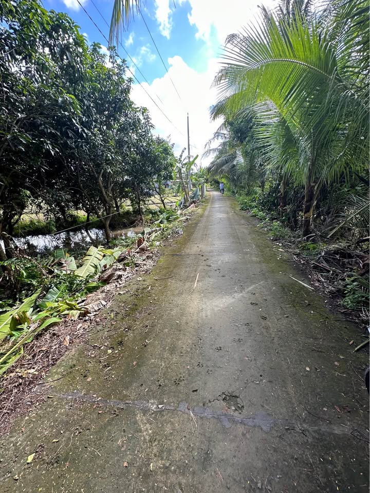 Đất nền Ấp Hoà Nhĩ, Tân Bình, Châu Thành 215m² giá 350 triệu - View sông thoáng mát!