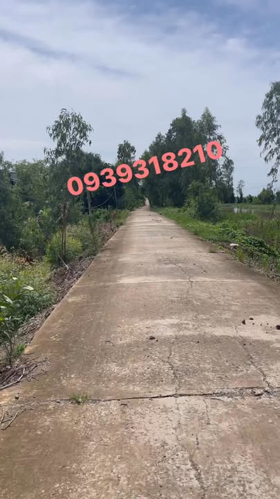 Đất ruộng lúa 3 vụ Phú Xuân Tam Nông 36.000m² giá chỉ 140 triệu - Cơ hội đầu tư tuyệt vời!