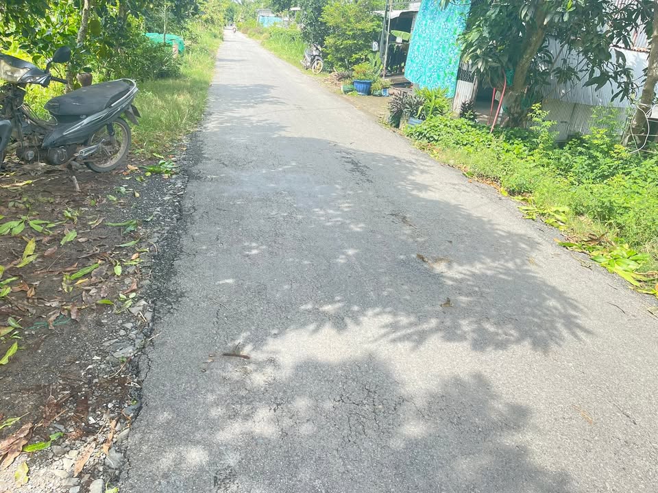 Đất ruộng 3 vụ Tân Công Sính 22.000m² giá 1.6 tỷ - Pháp lý rõ ràng