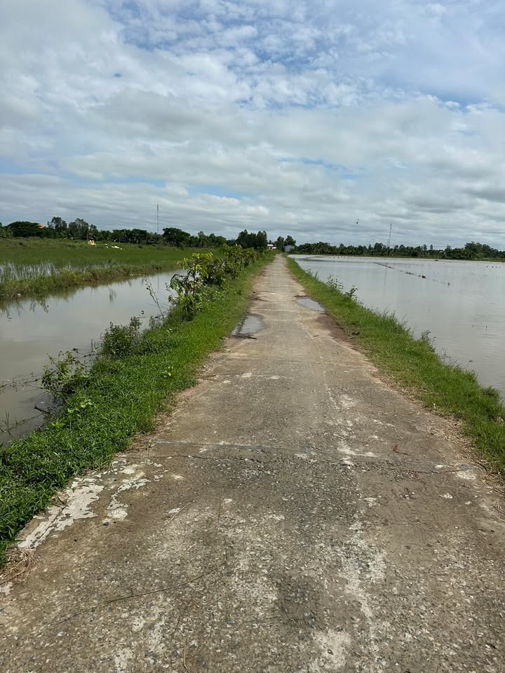 Đất vườn 4000m² tại Sa Rài, Tân Hồng chỉ 900 triệu - Đường xe hơi tới nơi!