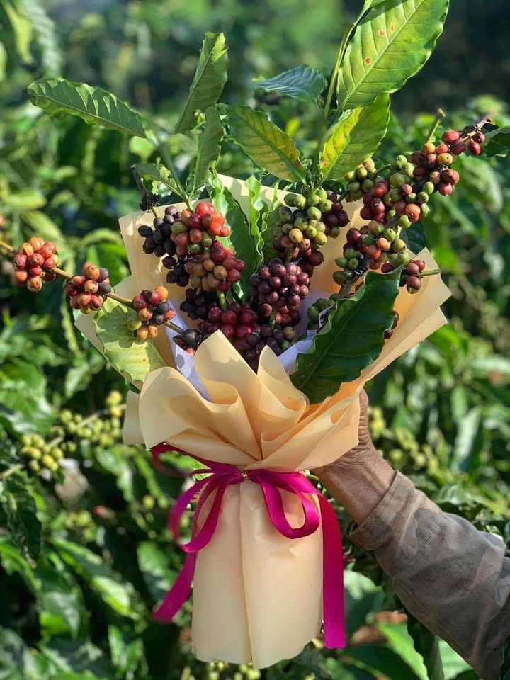 Nhà cấp 4 mặt tiền đường Nguyễn Thị Minh Khai, 620m² giá 2.35 tỷ - Kinh doanh thuận lợi!