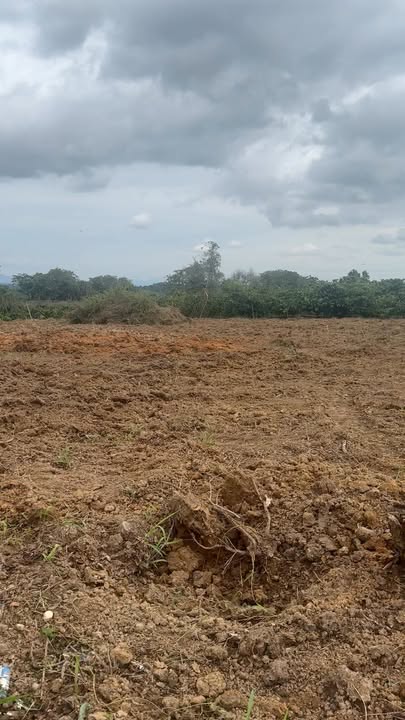 Đất nền Thôn 13, Phú Xuân 1728m² chỉ 1.1 tỷ - Sổ hồng chính chủ!