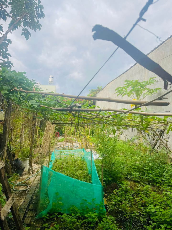 Bán đất tặng nhà mặt tiền Hùng Vương, TP Kon Tum 280m² - Kinh doanh thuận lợi, giá chỉ 2 tỷ!