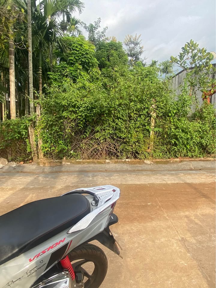 Đất nền Tân Lập, Buôn Ma Thuột 192m² giá 990 triệu - Cơ hội đầu tư tuyệt vời!