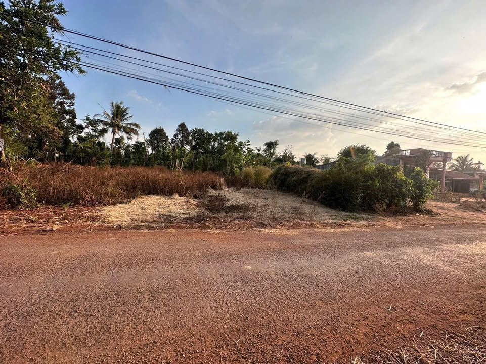 Đất nền Cư Suê 125m² giá 300 triệu - Cơ hội đầu tư hấp dẫn!