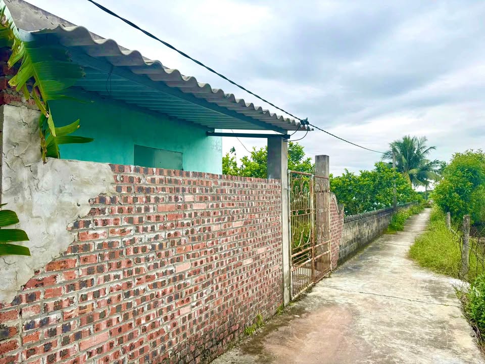 Đất vườn 1000m² tại Cẩm Chế, Thanh Hà - Giá chỉ từ 100 triệu, sổ hồng chính chủ!