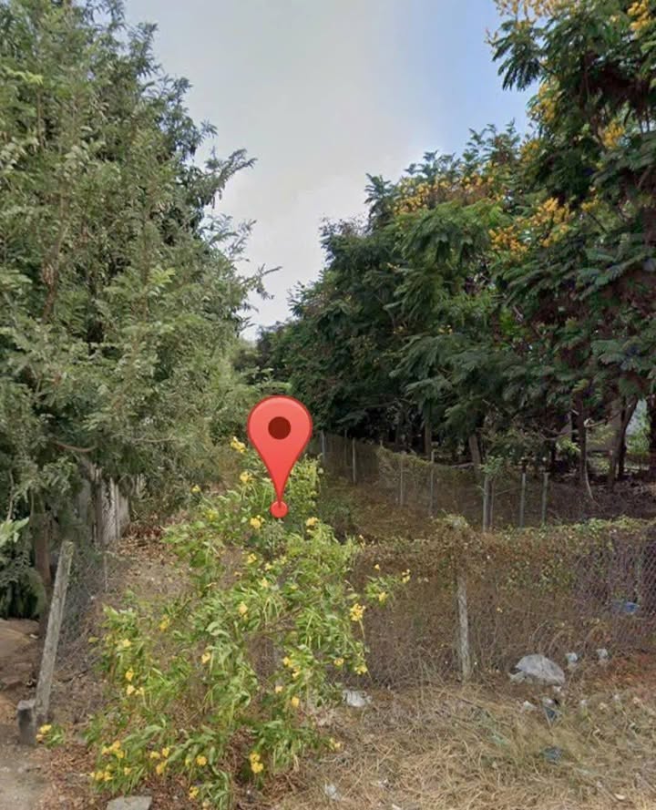 Đất thổ cư Châu Pha 740m² giá 2.3 tỷ - Mặt tiền nhựa, gần Chợ và UBND