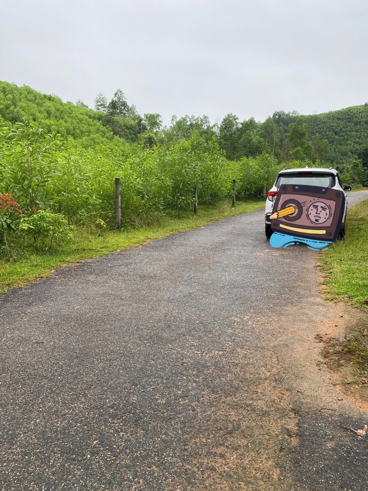 Đất nền Long Hiệp Minh Long 11.000m² giá 440 triệu - Cơ hội đầu tư tuyệt vời!