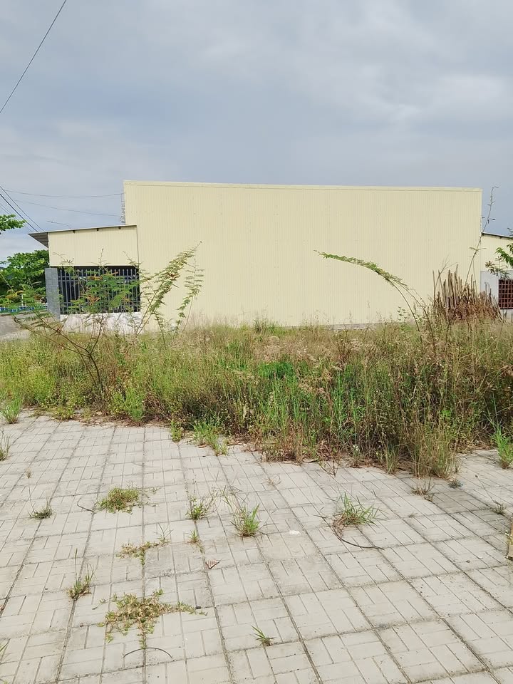 Đất nền tái định cư Nghĩa Giang 300m² giá 1.6 tỷ - Cơ hội vàng cho đầu tư!