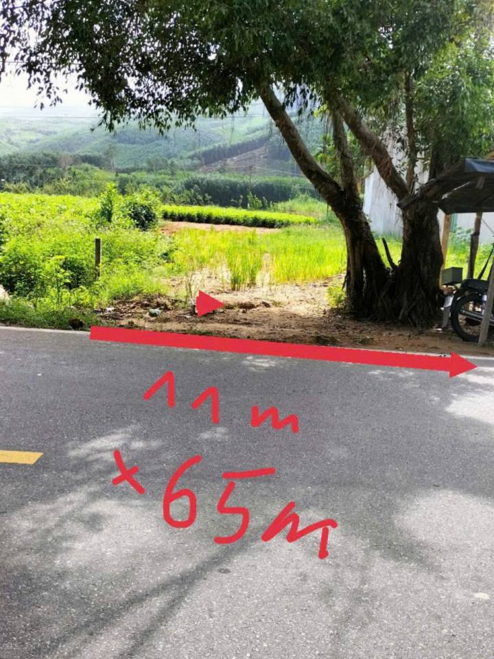 Đất nền Tư Nghĩa 650m² giá 800 triệu - Vị trí kinh doanh sầm uất!