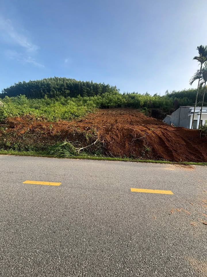 Lô đất 4000m² tại Minh Long, Quảng Ngãi - Giá tốt, dễ thương lượng!