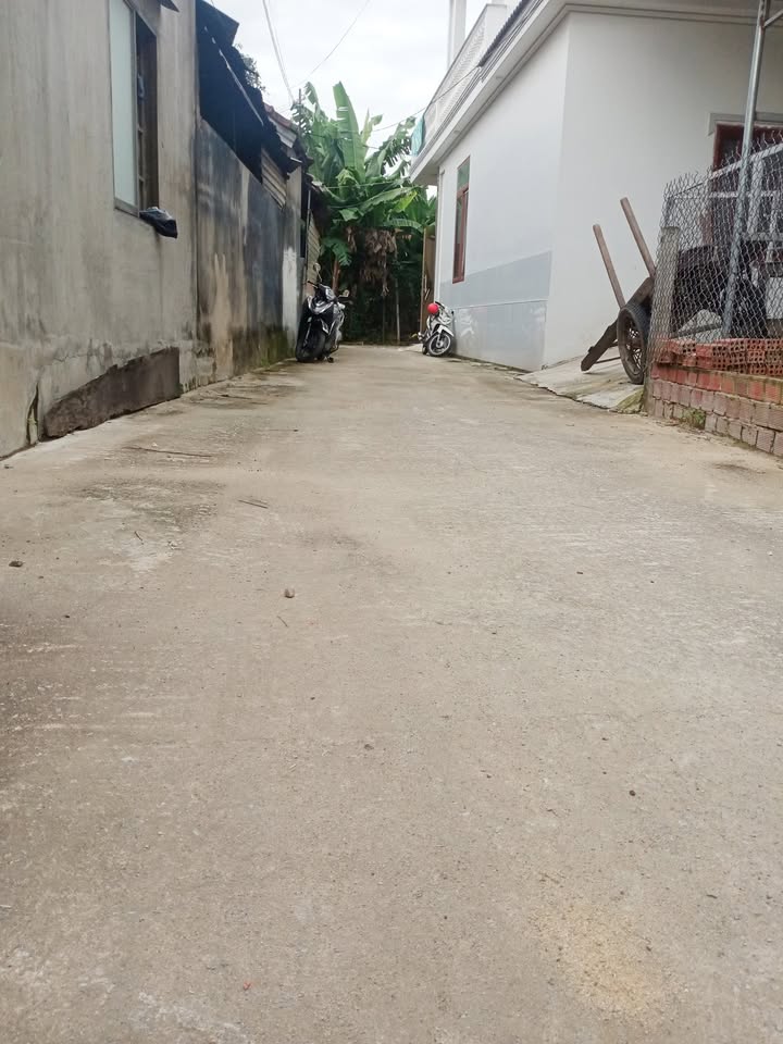 Đất nền Hẻm Bích Khê, Cẩm Thành 110m² giá 700 triệu - Cơ hội đầu tư hấp dẫn!