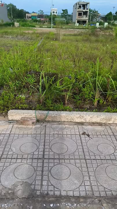 Đất đấu giá Tư Vũ, Thanh Thủy, 120m² giá 1 tỷ - Cơ hội đầu tư tuyệt vời!