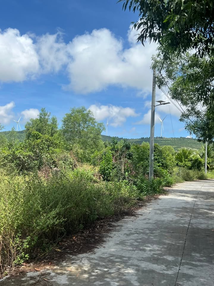 Đất nền Thiện Nghiệp 1.000m² giá 1.5 tỷ - Cơ hội đầu tư tuyệt vời!