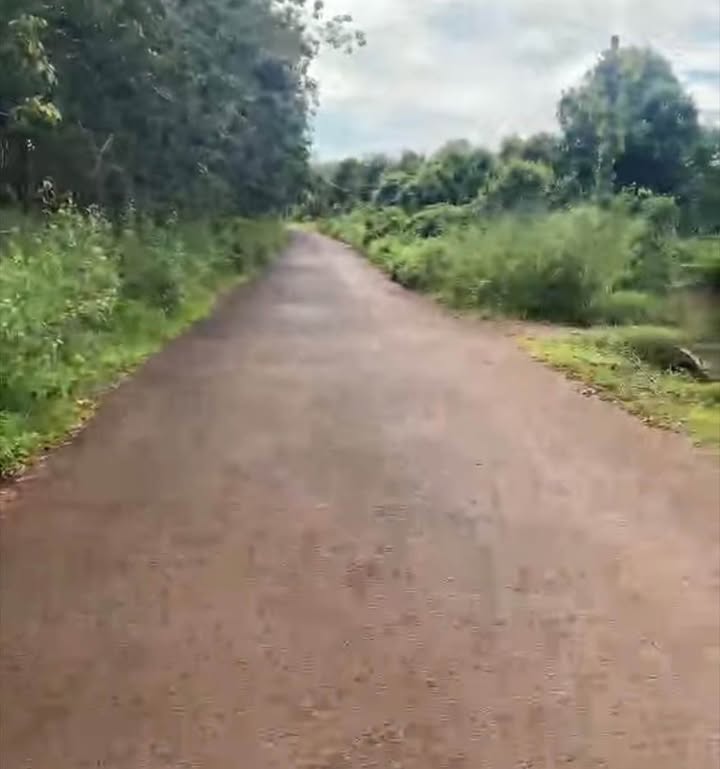 Đất nông nghiệp Phước Tân 7 sào giá 1.35 tỷ - Cơ hội đầu tư sinh lời!