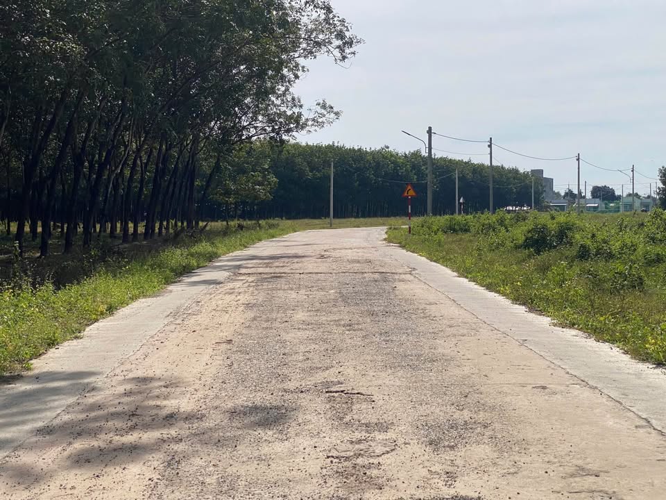 Đất nền liền kề Chơn Thành 500m² giá chỉ 800 triệu - Cơ hội đầu tư sinh lời!