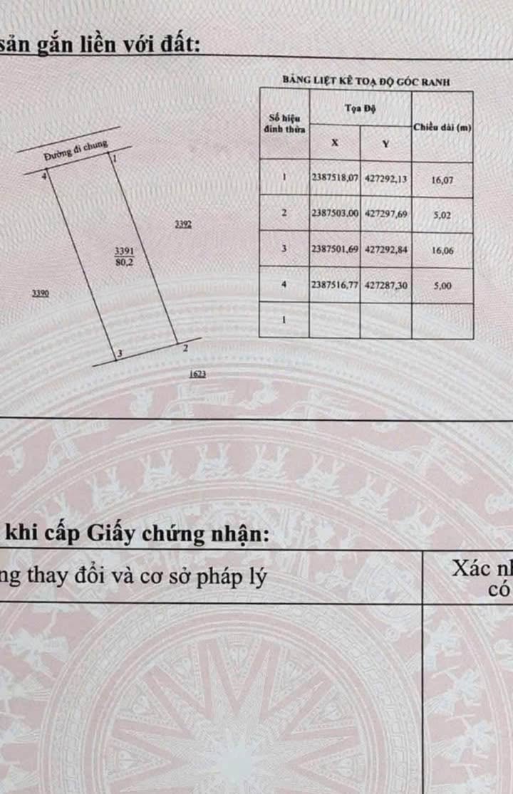 Lô đất gần Tam Quan, đường Tròn Bắc Sơn 80m² giá 1 tỷ - Đầu tư sinh lời nhanh!
