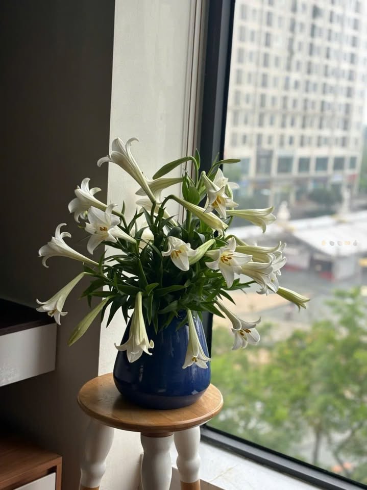 Căn hộ chung cư Ecohome Tân Xuân 47m² giá chỉ 1-2 tỷ - View thoáng mát, sẵn sàng vào ở!