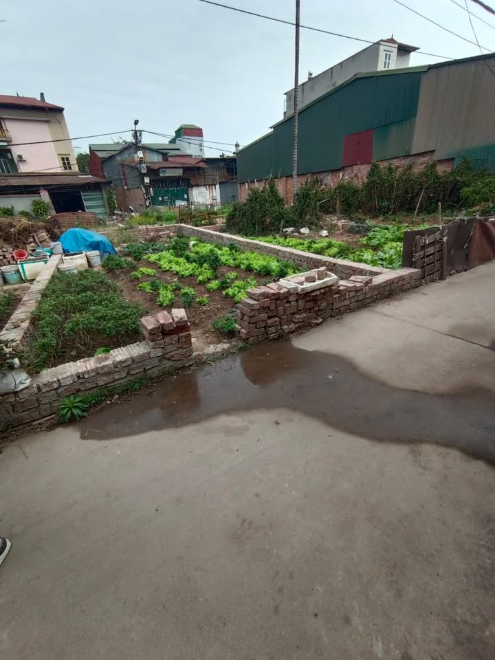 Đất nền Hương Mạc, Từ Sơn 45m² giá 1 tỷ - Đường ô tô đỗ ngay!