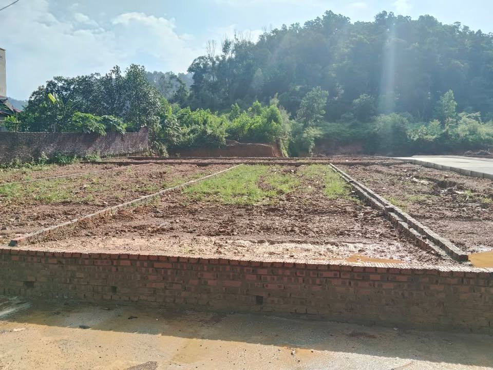 Đất nền 100m² tại Thanh Hà, Sóc Sơn - Giá cực sốc, đầu tư sinh lời ngay!