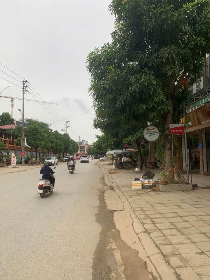 Nhà 4 tầng mặt đường Phủ Liễn, Thái Nguyên 72m² giá 6 tỷ - Kinh doanh đắc địa!