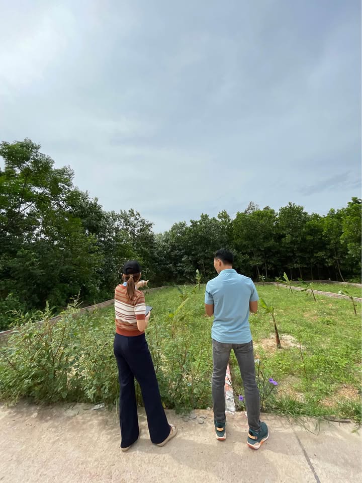 Đất thổ cư 127m² tại xã Thành Công, Thái Nguyên - Cơ hội đầu tư sinh lời!