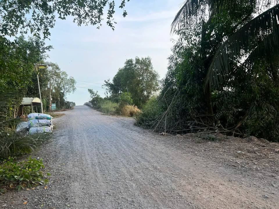 Đất vườn 9.360m² Thạnh Hoà, Bến Lức chỉ 7 tỷ - Đầu tư sinh lời hấp dẫn!