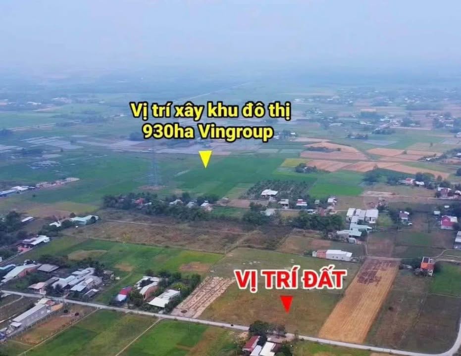 Đất nền Tân Mỹ, Đức Hòa 684m² giá 3.65 tỷ - Cơ hội đầu tư hấp dẫn!