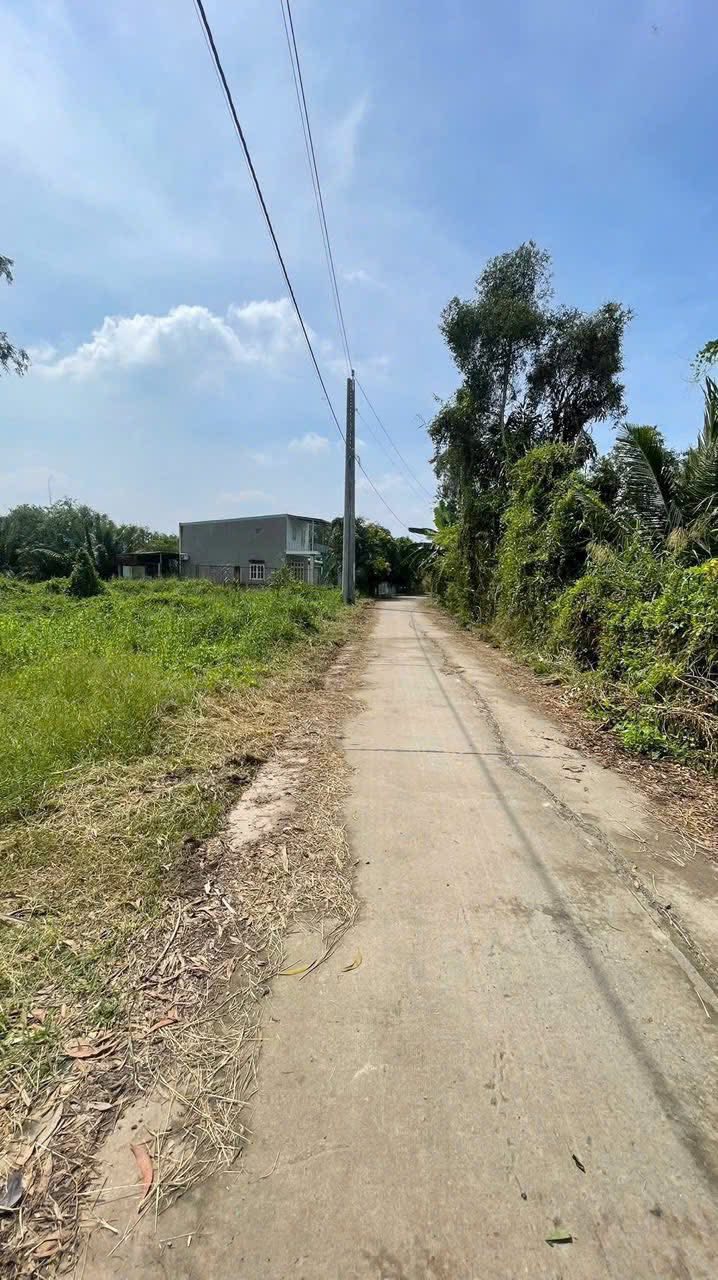 Đất thổ cư + đất vườn Rạch Rích, Tân Bửu, Bến Lức 509m² giá 2.4 tỷ - Đầu tư sinh lời!