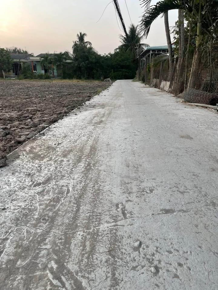 Đất thổ cư Thanh Phú Long, Châu Thành, Long An 125m² giá 380 triệu - Cơ hội đầu tư hấp dẫn!