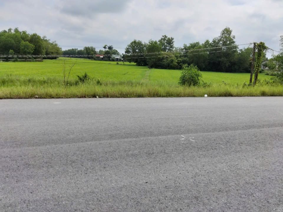 Đất nền mặt tiền đường Hồ Chí Minh, An Ninh Đông, 1000m² giá 11.4 tỷ - Cơ hội đầu tư tuyệt vời!