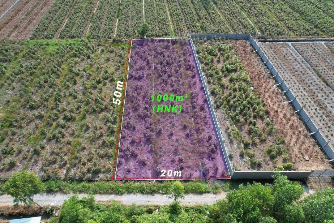 Đất vườn 1000m² Bình Đức - Bến Lức - Long An giá 950 triệu - Chính chủ bán gấp!