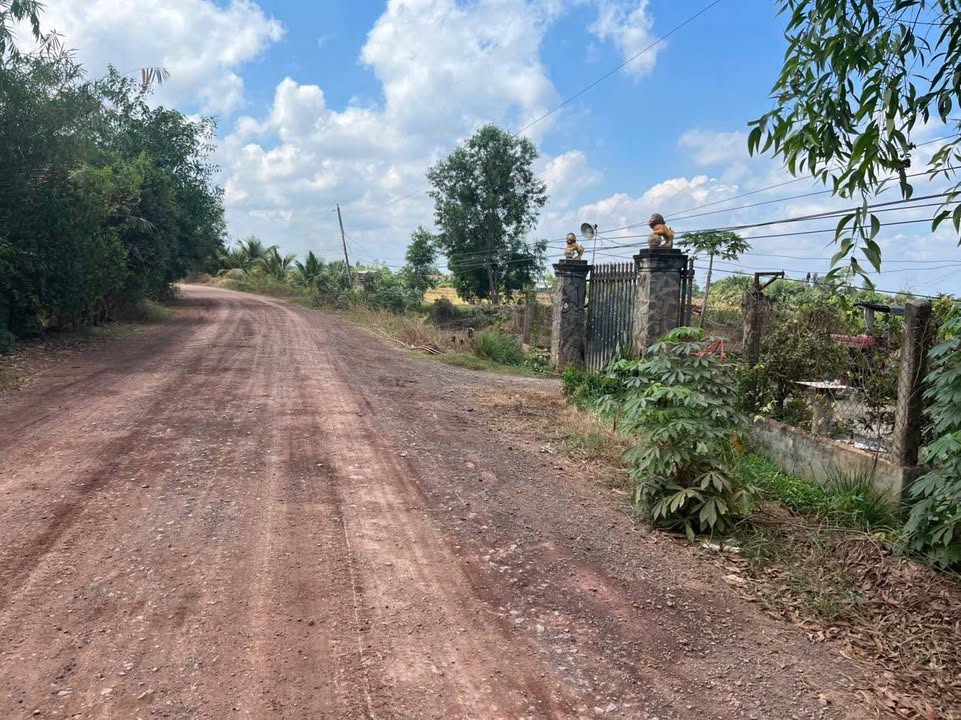 Đất thổ cư Đức Hòa 232m² giá 1.1 tỷ - Bán gấp do kẹt tiền!