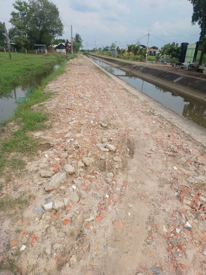 Đất lúa 1089m² đường Láng Cẩm, Đức Hòa giá 1.45 tỷ - Cơ hội đầu tư hấp dẫn!