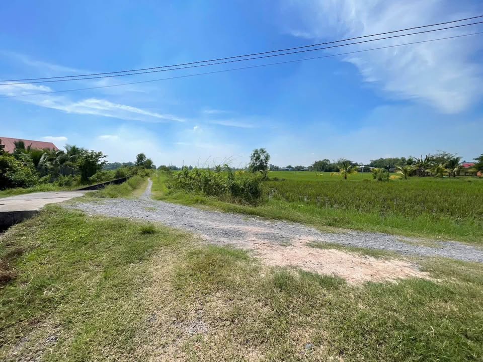 Đất nền Tân Phú Đức Hòa 544m² giá 1.3 tỷ - Lô góc 2 mặt tiền thoáng mát!