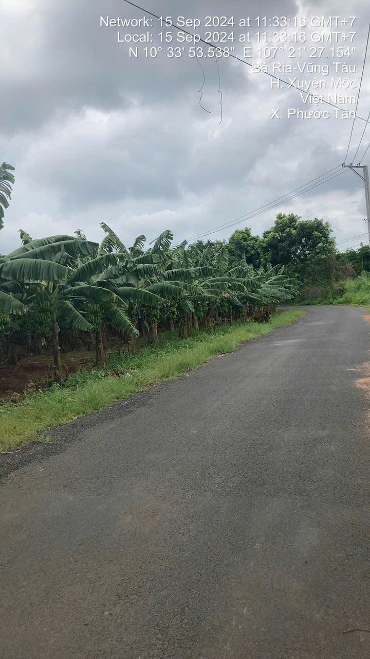 Đất 2 mặt tiền tại Xã Phước Tân, Xuyên Mộc 10.000m² - Cơ hội đầu tư sinh lời!