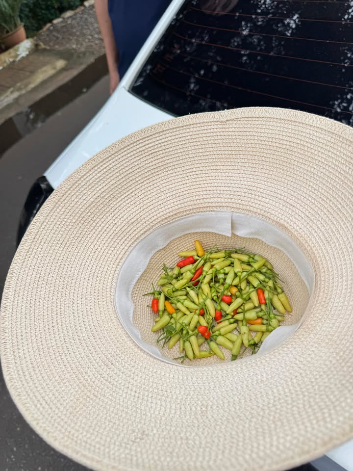 Đất nền 2 mặt tiền Bà Rịa - Long Hương 270m² giá 2.9 tỷ - Cơ hội đầu tư hấp dẫn!