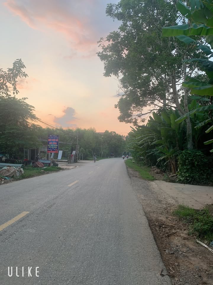 Đất nền QL17 Xuân Lương 124m² giá chỉ 1 tỷ - Kinh doanh sầm uất!