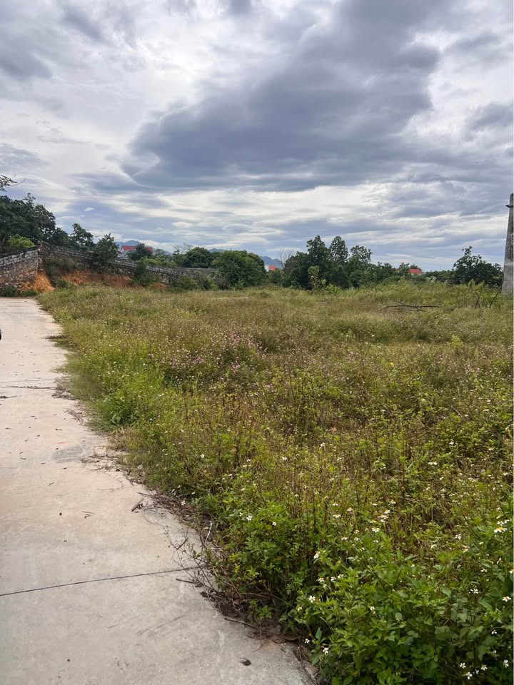 Đất thổ cư Chính Thượng, Lan Mẫu 132m² giá 1 tỷ - Đầu tư sinh lời ngay!