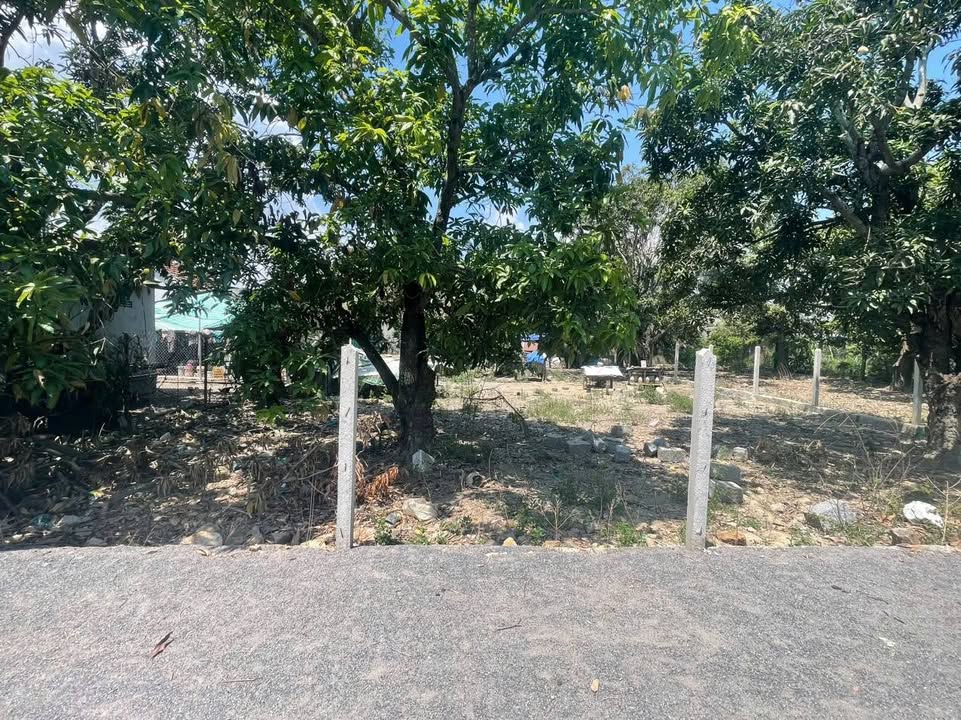 Đất thổ cư Diên Điền, Diên Khánh 132m² giá 1.1 tỷ - Cơ hội đầu tư tuyệt vời!