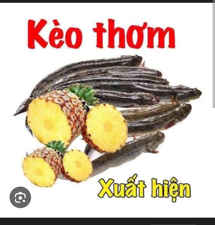 Đất thổ cư 70m² Trảng Dài Biên Hòa chỉ 2.08 tỷ - Tiềm năng tăng giá cao!