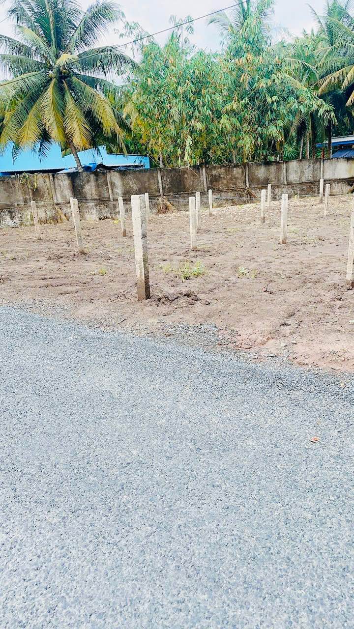 Đất thổ cư chính chủ Hòa Định 356m² - Giá đầu tư hấp dẫn!