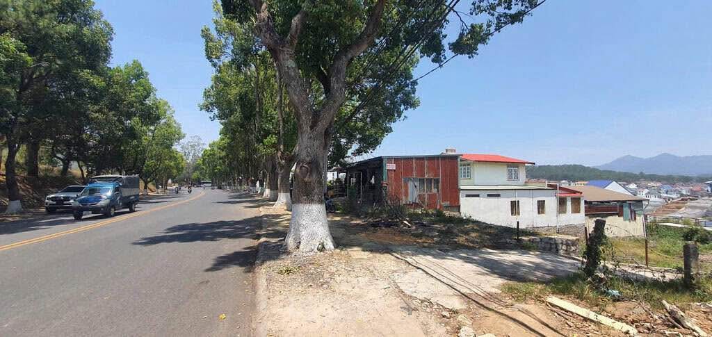 Đất mặt tiền Phù Đổng Thiên Vương Đà Lạt 478m² giá 37 tỷ - Cơ hội đầu tư độc tôn!