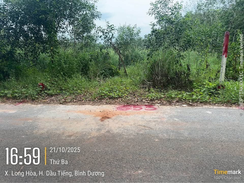 Đất nền Long Hoà Dầu Tiếng 255m² giá chỉ 600 triệu - Sổ đỏ chính chủ!