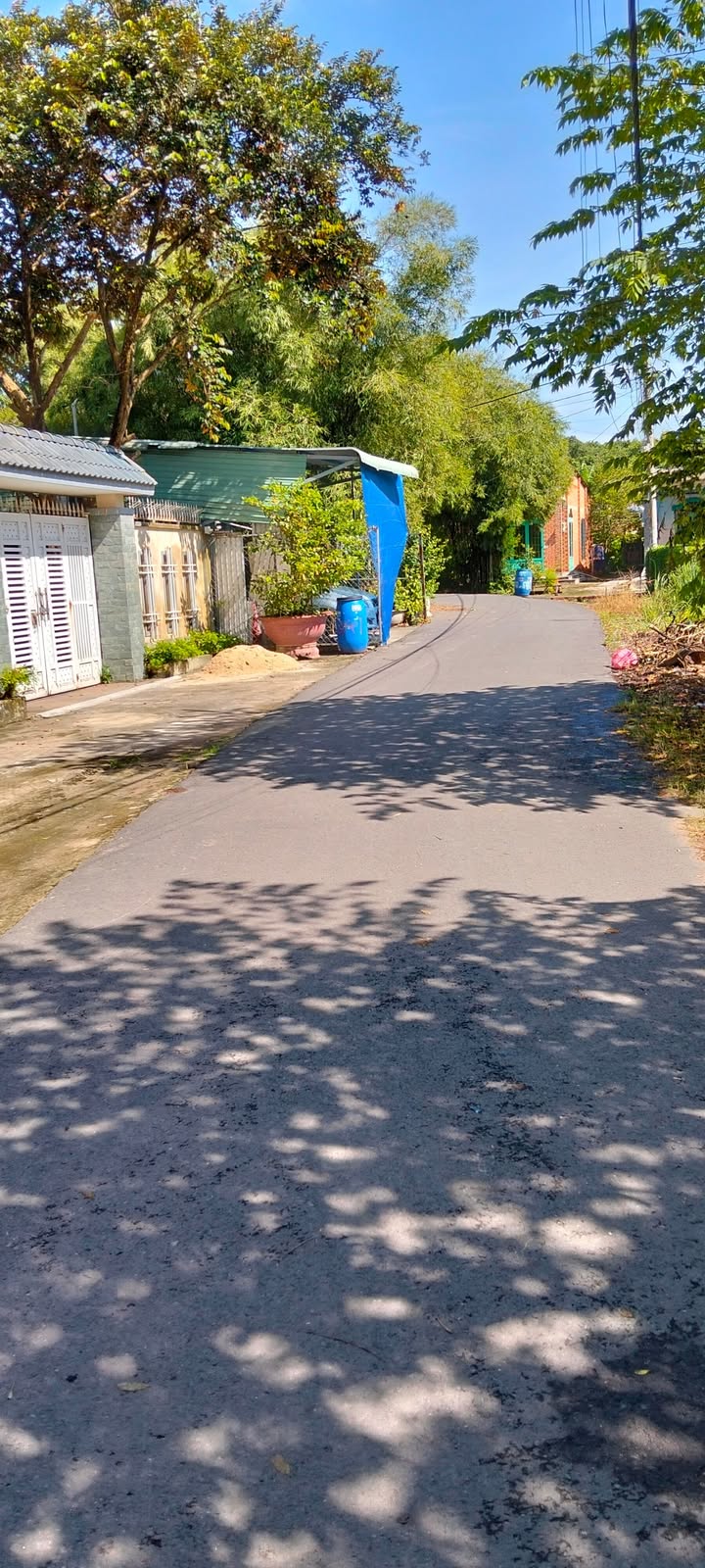 Đất nền Tân Thạnh Tây, Củ Chi 144m² giá 1.65 tỷ - Đường nhựa thông thoáng!