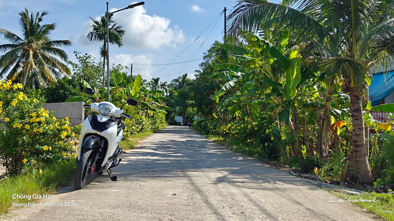 Đất nền 300m² Nhơn Ái, Phong Điền chỉ 950 triệu - Sổ hồng chính chủ, giá tốt!