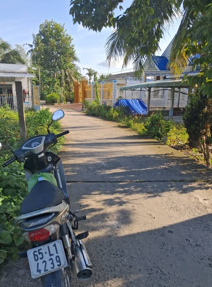 Đất nền Tân Hòa, Phong Điền 1160m² giá 790 triệu - Cơ hội đầu tư tuyệt vời!