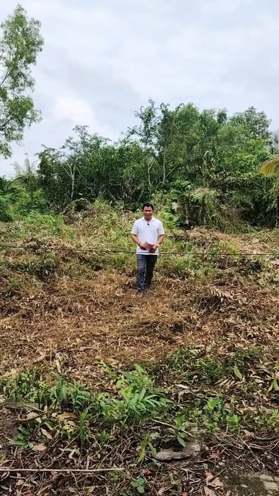 Đất nền ấp Đầu Sấu Tây, Lộc Ninh, 420m² giá chỉ 350 triệu - Cơ hội đầu tư tuyệt vời!