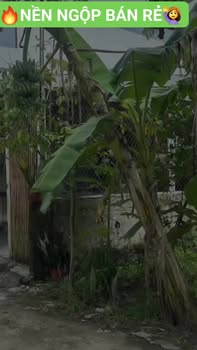 Đất nền KDC 923, An Bình, 72m² giá 1.28 tỷ - Tiềm năng đầu tư vượt trội!